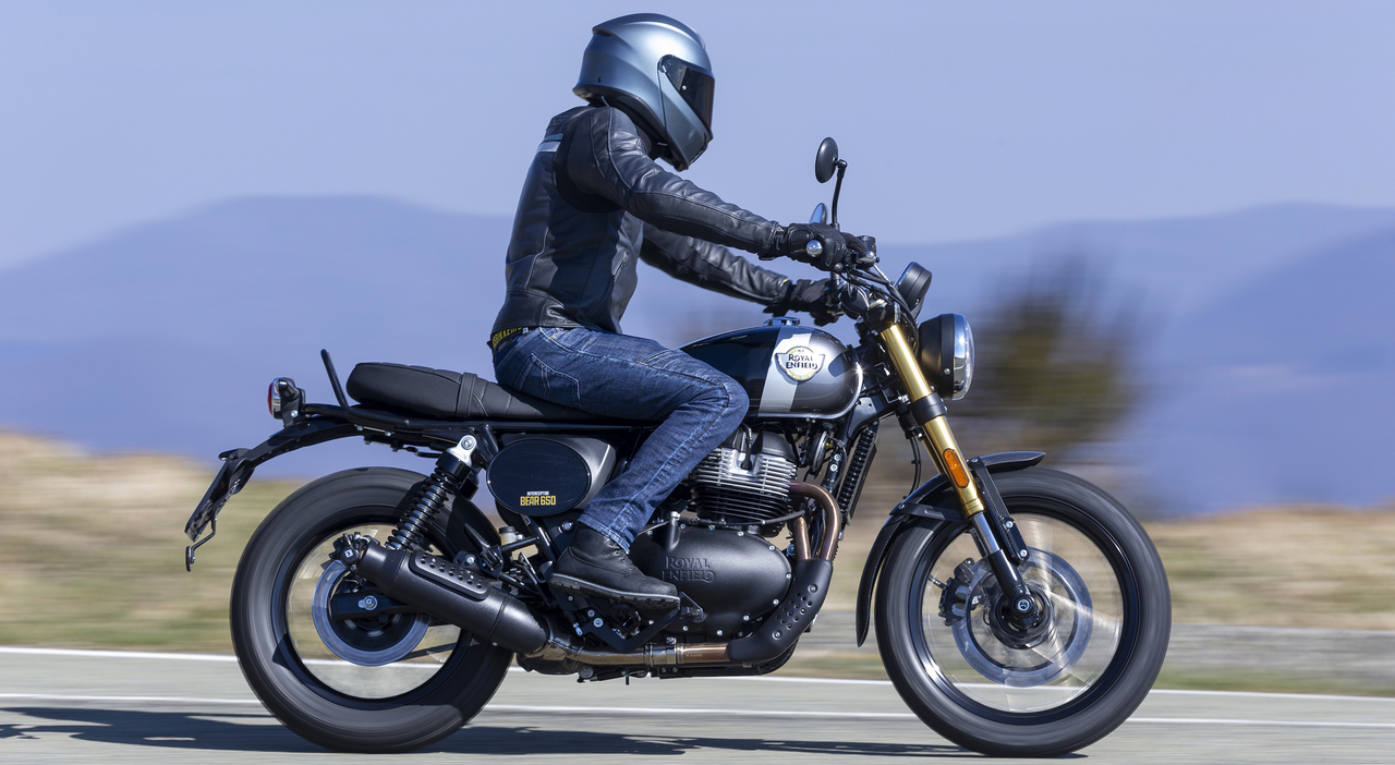 Bear 650