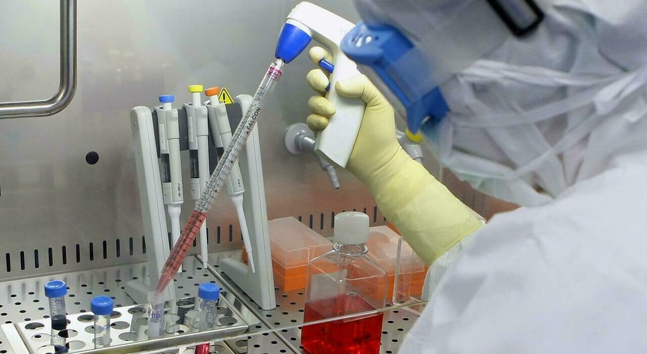 Listeria nelle da Ilmessaggero.it Listeria nelle olive in salamoia morto a 70 anni dopo il ricovero per aver contratto infezione