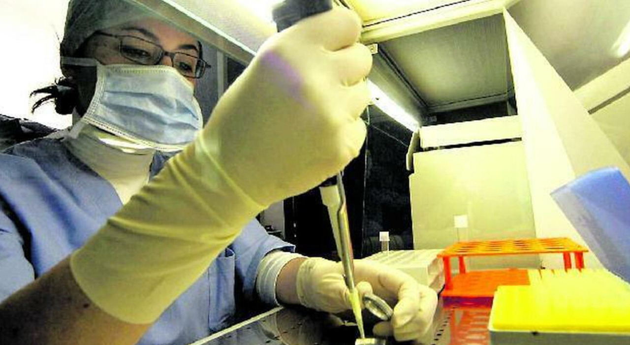 Over 80 Children: Consanguinity & Genetic Risks