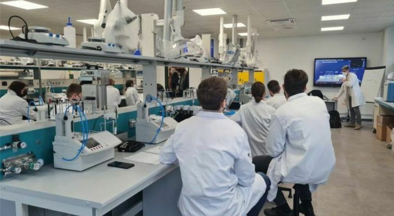 record di iscritti negli its ma solo il 58 si diploma innovazione pochi addetti da Quotidianodipuglia.it record di iscritti negli its ma solo il 58 si diploma innovazione pochi addetti