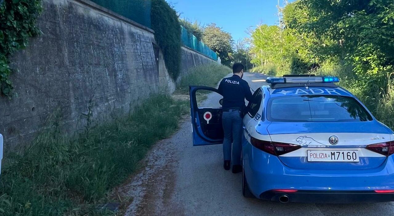 Pesaro madre da Corriereadriatico.it pesaro madre e figlia choc azzannate da un cane a cattabrighe aggredite alle spalle vanno allospedale la mamma grave a torrette