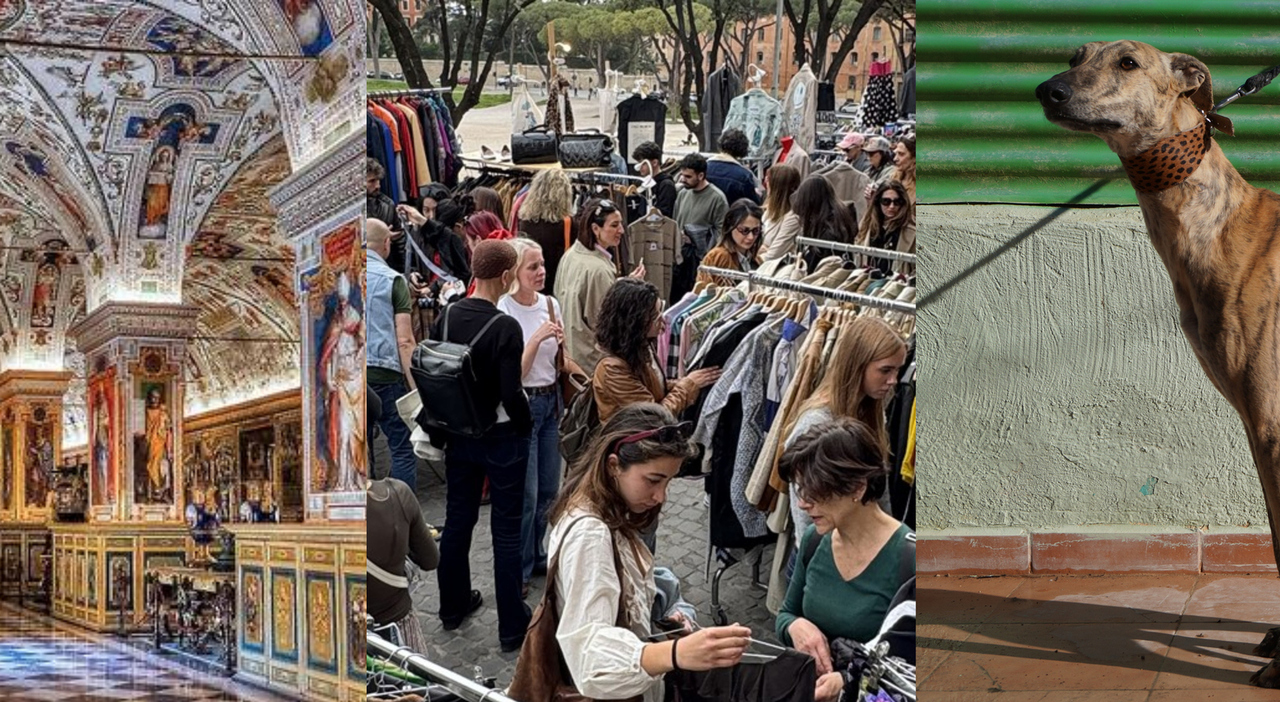 Scopri gli ingressi gratuiti ai musei e i mercatini vintage nascosti al Massimo Scopri gli ingressi gratuiti ai musei e i mercatini vintage nascosti al Massimo