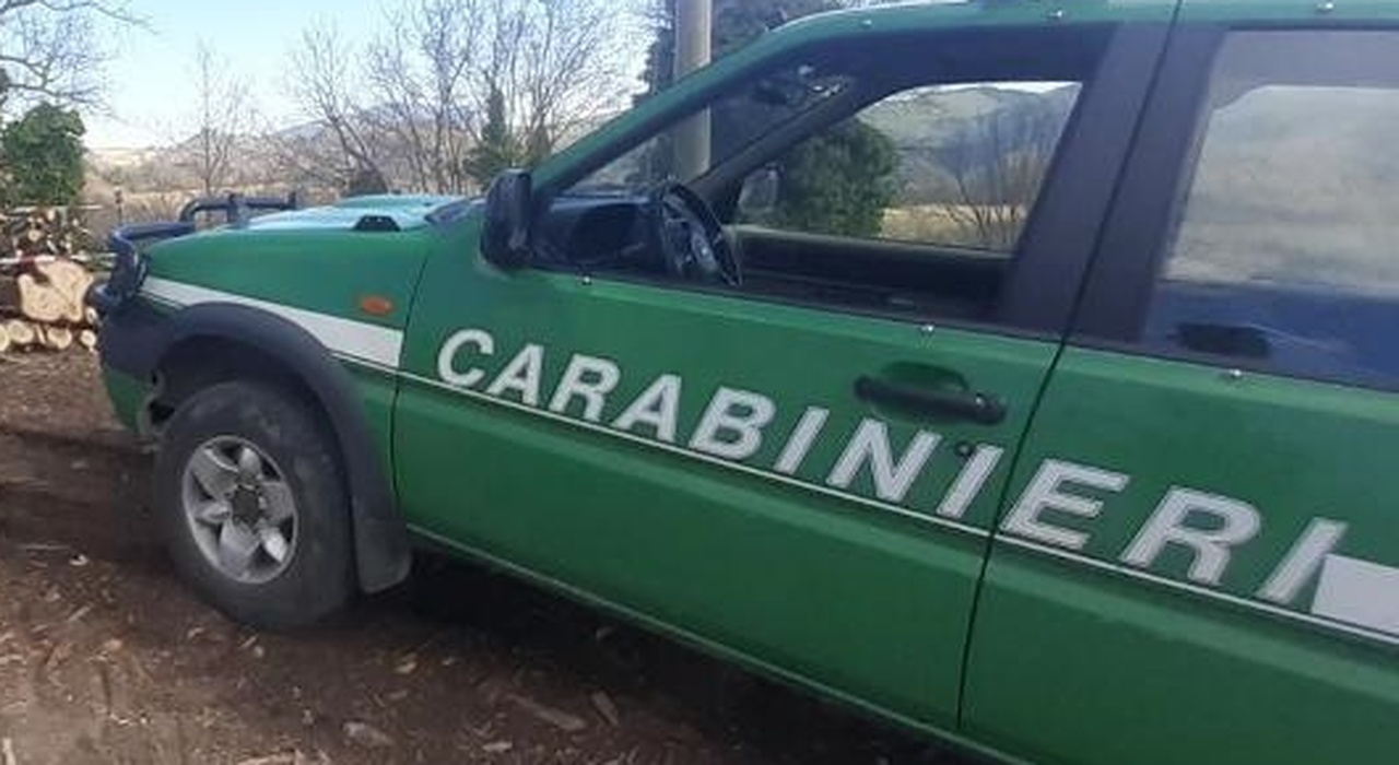 Ancona, scampagnate con multe: pioggia di sanzioni per fuochi e accesso col Suv nelle aree naturali Ancona, scampagnate con multe: pioggia di sanzioni per fuochi e accesso col Suv nelle aree naturali
