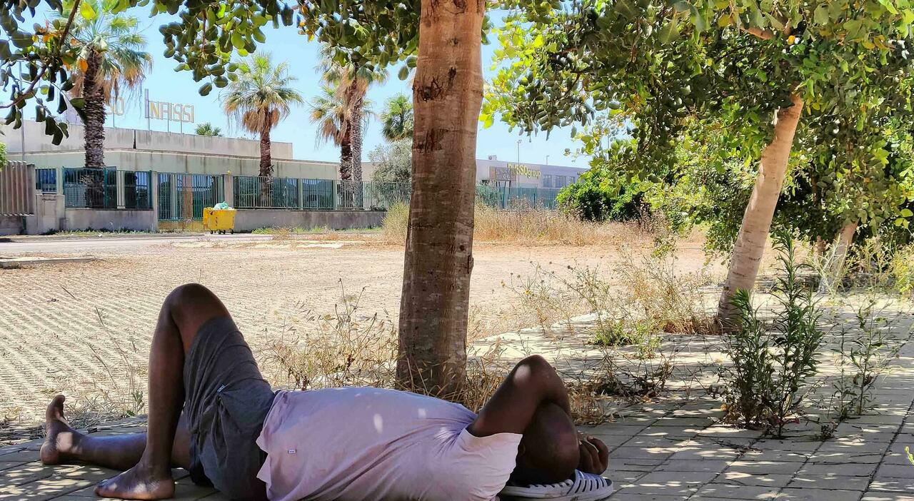 Salento, migranti sfruttati nei campi: «Schiavitù». Condannati i caporali, assolti gli imprenditori Salento, migranti sfruttati nei campi: «Schiavitù». Condannati i caporali, assolti gli imprenditori