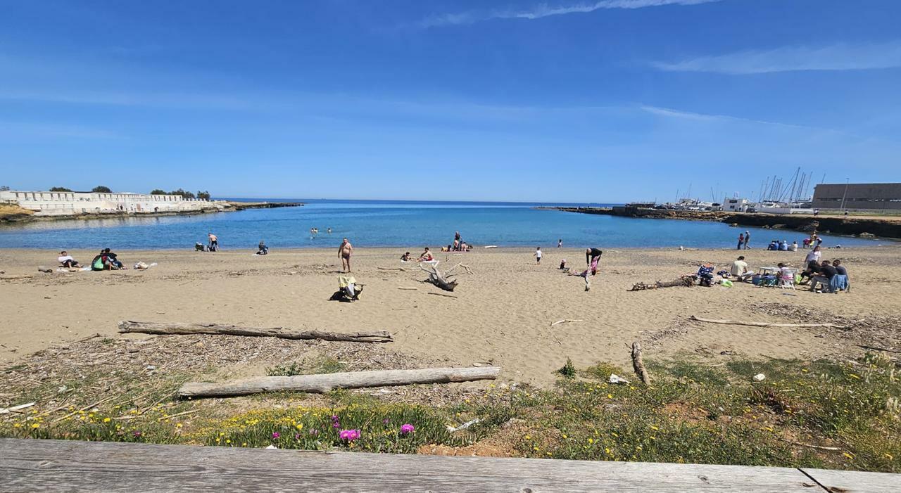 riprova società da Quotidianodipuglia.it ci riprova la società mede unica partecipante al nuovo bando per la gestione di cala materdomini