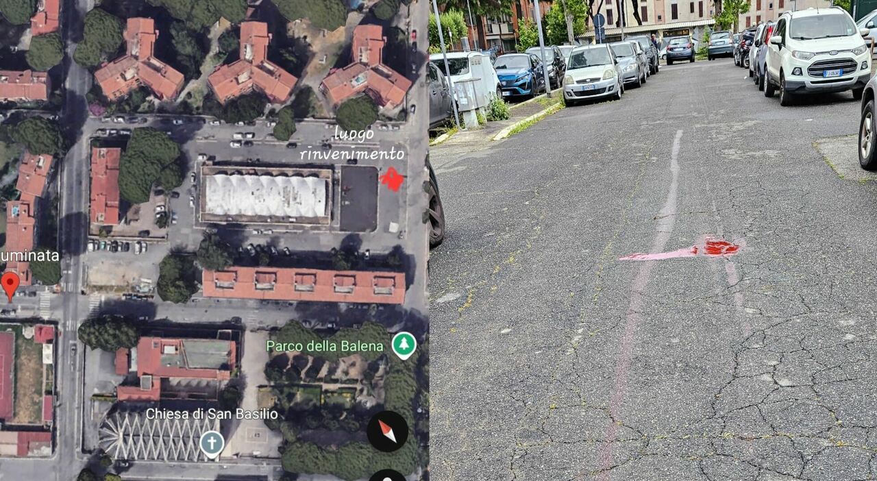 La scomparsa di Luca Tucciarelli, 83 anni, e la caccia a un furgone bianco a Roma La scomparsa di Luca Tucciarelli, 83 anni, e la caccia a un furgone bianco a Roma