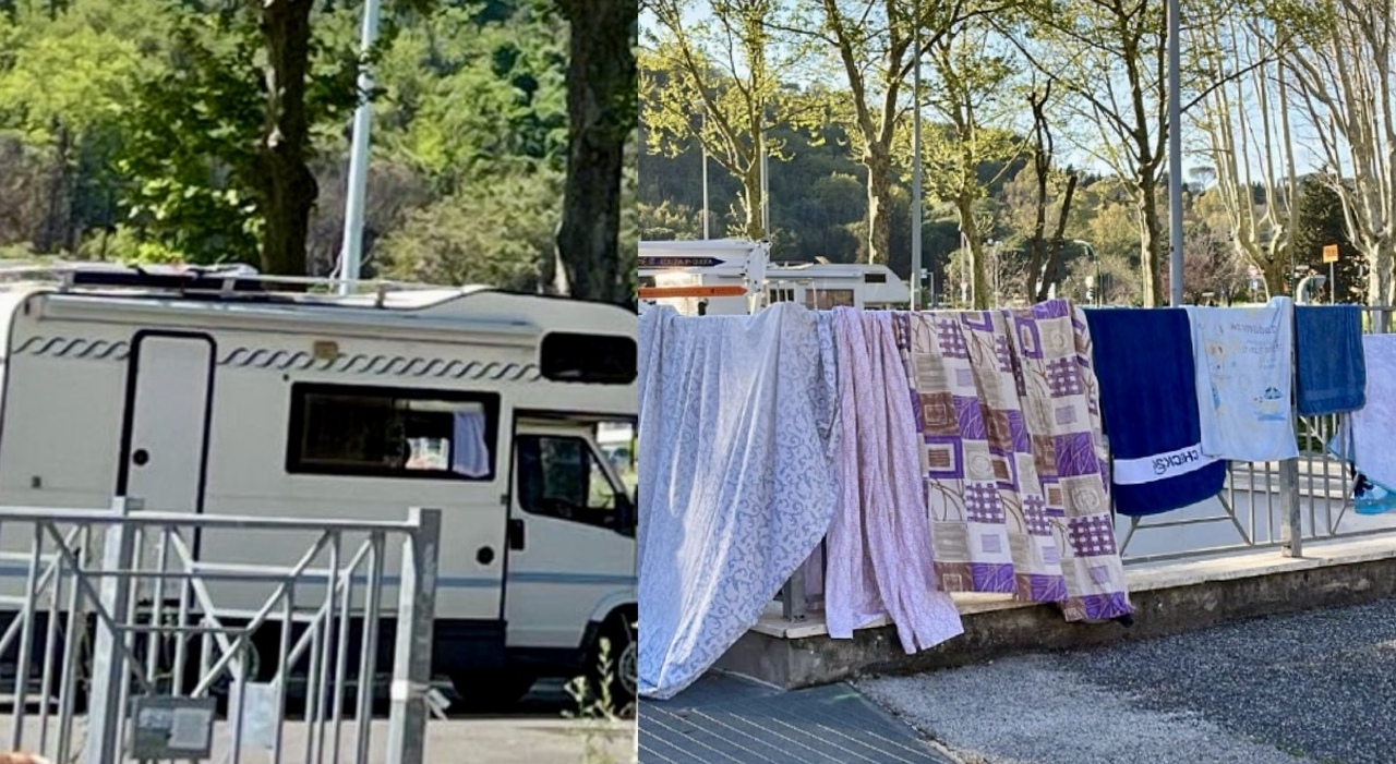 Gli espedienti della sopravvivenza: un mondo inaspettato Gli espedienti della sopravvivenza: un mondo inaspettato
