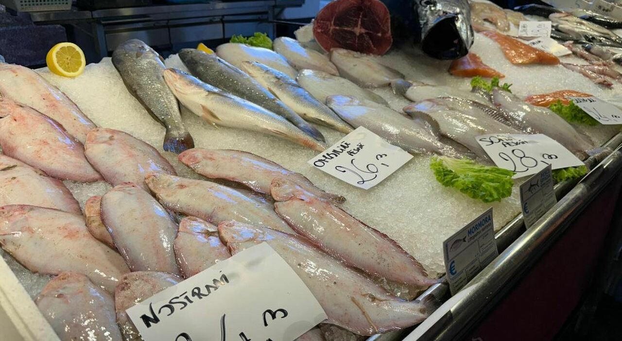 Prezzi alle da Ilgazzettino.it prezzi alle stelle al mercato ittico di venezia il pesce povero non esiste più la spesa dei turisti salva i banchi in pescheria