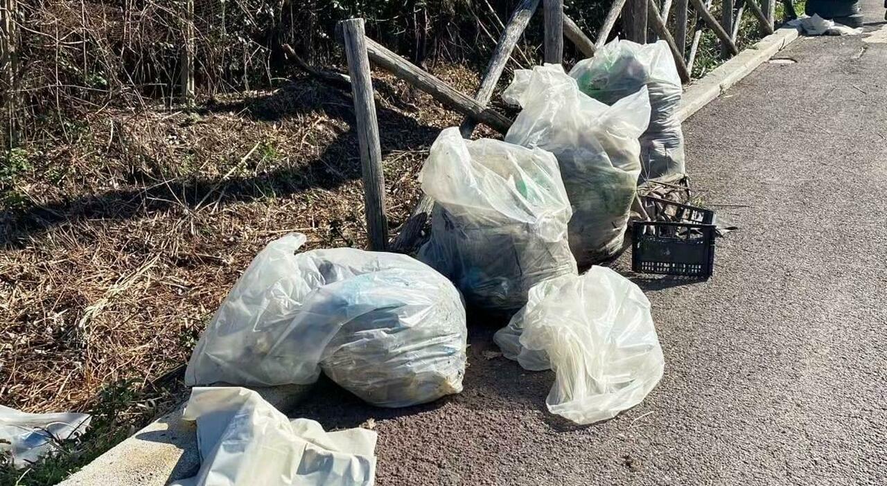 Allarme Plastica nelle Scuole: Iniziative di Prevenzione e Informazione con gli Esperti Asl ad Acquapendente