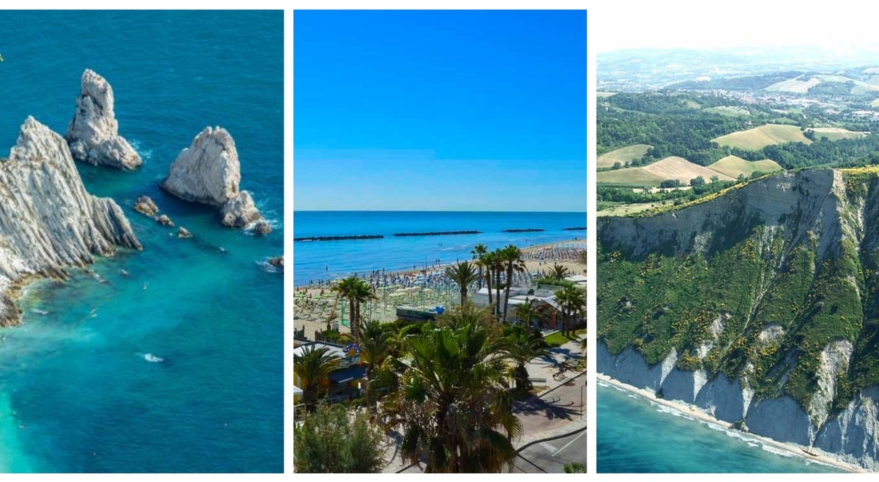 adriatico la qualità del mare che bagna le marche è eccellente e buona al 99 ecco dove e perché con una sorpresa da Corriereadriatico.it adriatico la qualità del mare che bagna le marche è eccellente e buona al 99 ecco dove e perché con una sorpresa