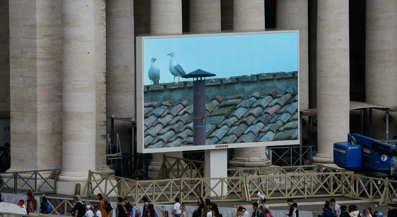 Fumata Papa da Ilmattino.it fumata papa conclave a che ora oggi quando ci sarà quella bianca il cardinale re auspico elezione stasera