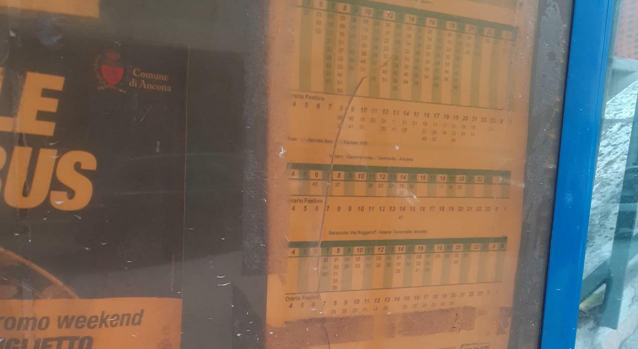 Ancona, colpi di ombrellone sulla pensilina: baby vandali rompono la bacheca dei bus. Ripresi da due donne Ancona, colpi di ombrellone sulla pensilina: baby vandali rompono la bacheca dei bus. Ripresi da due donne