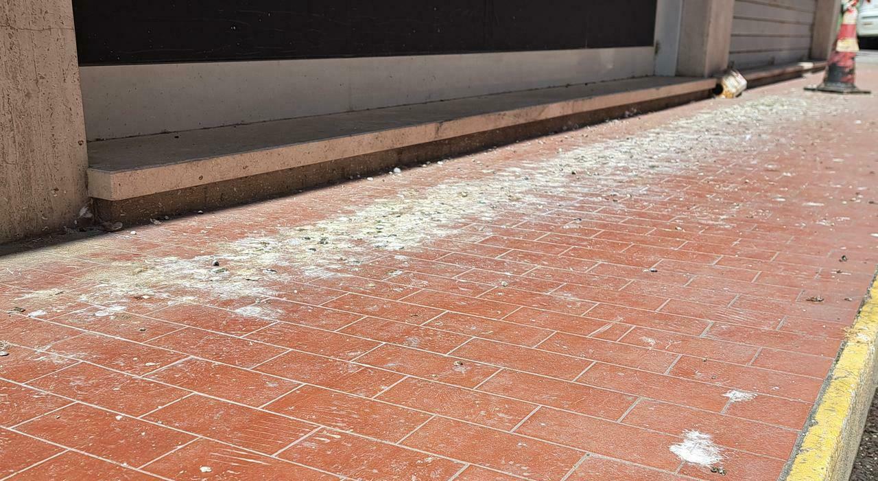 Invasione dei piccioni in centro a Porto San Giorgio: «E c?è chi dà loro da mangiare» Invasione dei piccioni in centro a Porto San Giorgio: «E c?è chi dà loro da mangiare»