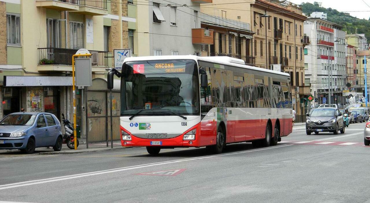 Conerobus, casse vuote: ammanco da 1,8 milioni. Li chiedono alla Regione Conerobus, casse vuote: ammanco da 1,8 milioni. Li chiedono alla Regione