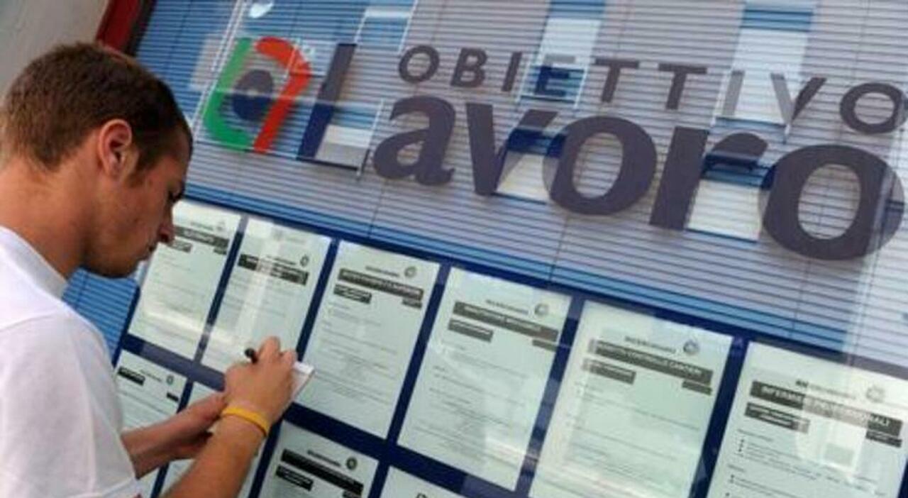 comune di napoli al via le richieste per 800 tirocini da 600 euro il bando come fare domanda e chi può partecipare da Ilmattino.it comune di napoli al via le richieste per 800 tirocini da 600 euro il bando come fare domanda e chi può partecipare