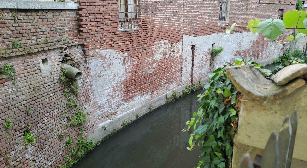 Garlasco, trovato martello nel canale di Tromello: potrebbe essere l Garlasco, trovato martello nel canale di Tromello: potrebbe essere l
