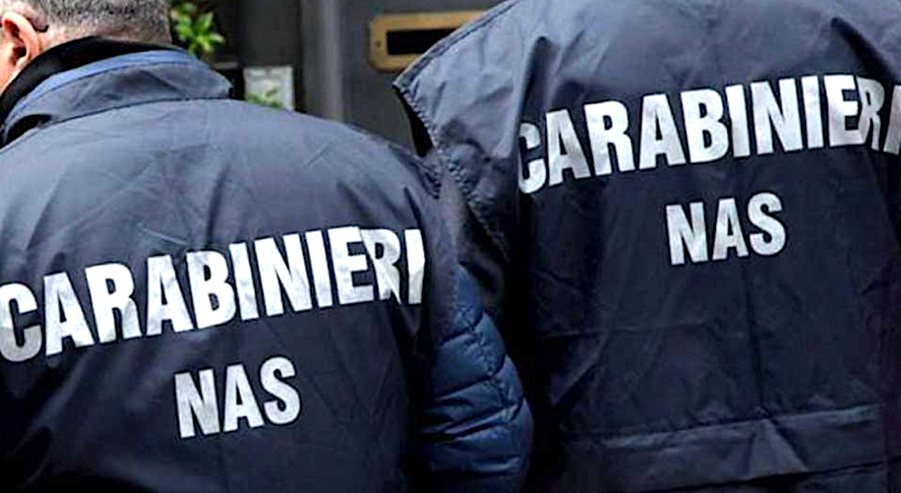 Irregolarità nei pasti e troppi anziani: chiusa Rsa dai Nas Irregolarità nei pasti e troppi anziani: chiusa Rsa dai Nas
