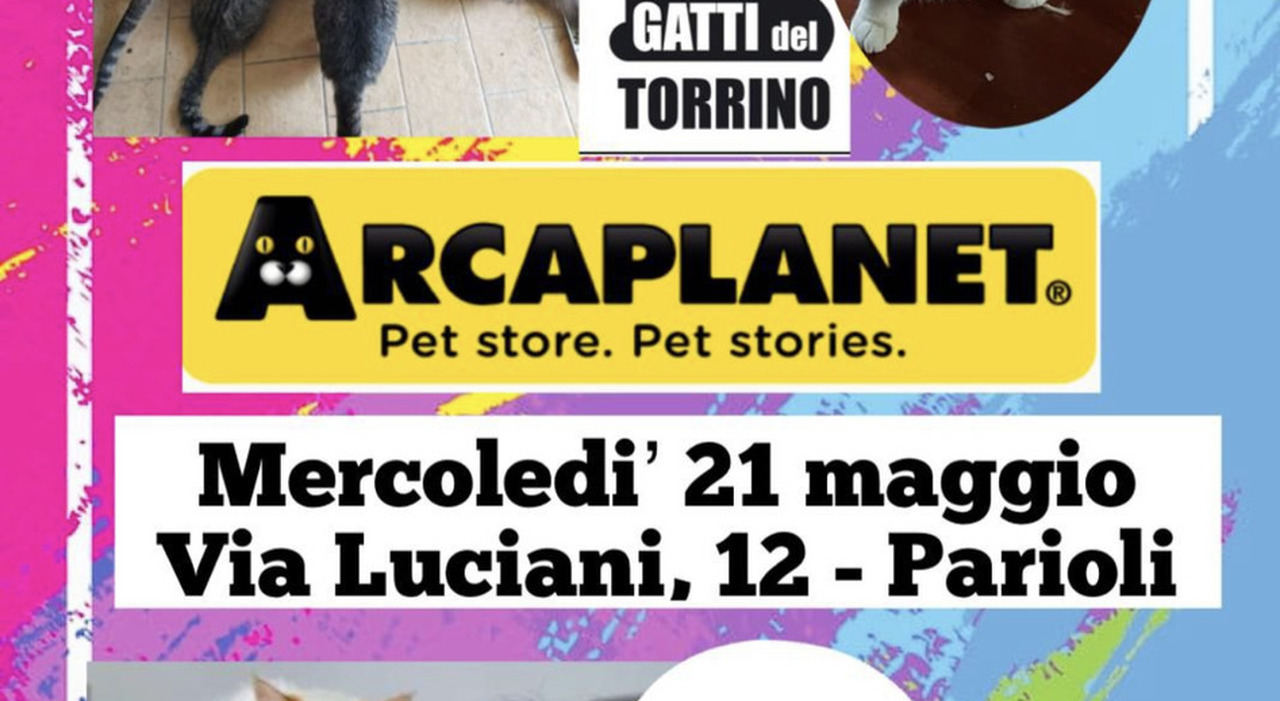 Scopri l’iniziativa solidale del 21 maggio
