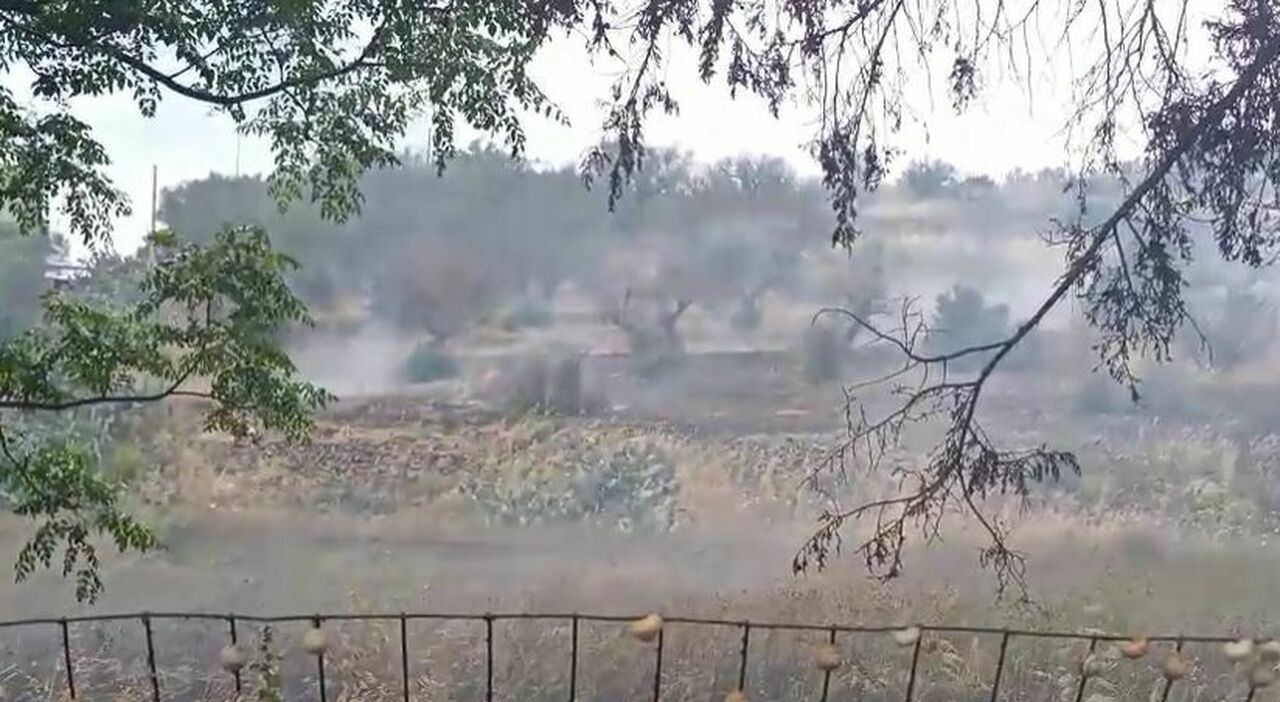 Incendio al parco di "Monte Radar": le fiamme arrivano vicino alle abitazioni Incendio al parco di "Monte Radar": le fiamme arrivano vicino alle abitazioni