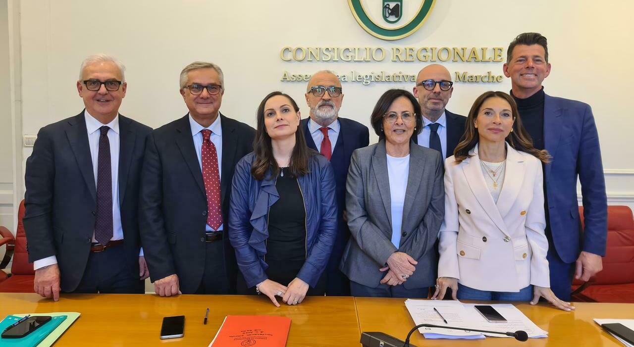 Pd Marche, terzo mandato e risse: la tagliola della direzione per decidere chi correrà alle Regionali Pd Marche, terzo mandato e risse: la tagliola della direzione per decidere chi correrà alle Regionali