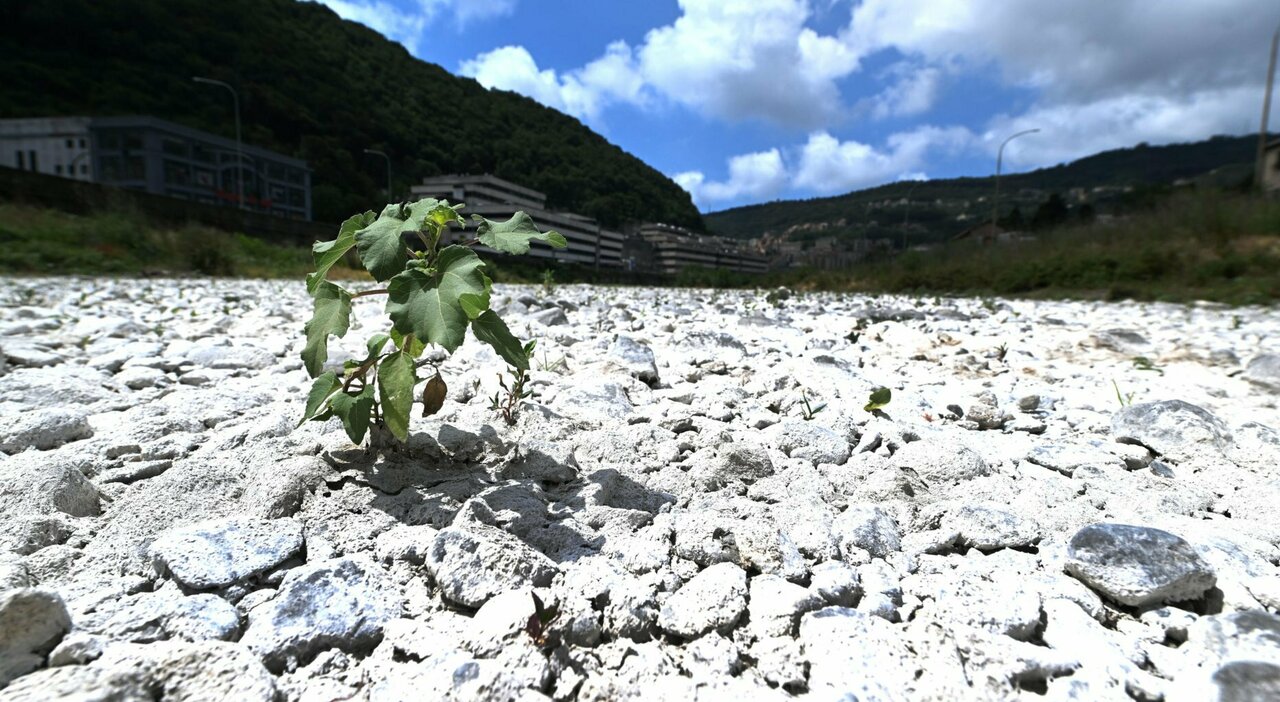 Acqua dal Molise, accordo e litigi. Peggiora la crisi: scorte al minimo Acqua dal Molise, accordo e litigi. Peggiora la crisi: scorte al minimo