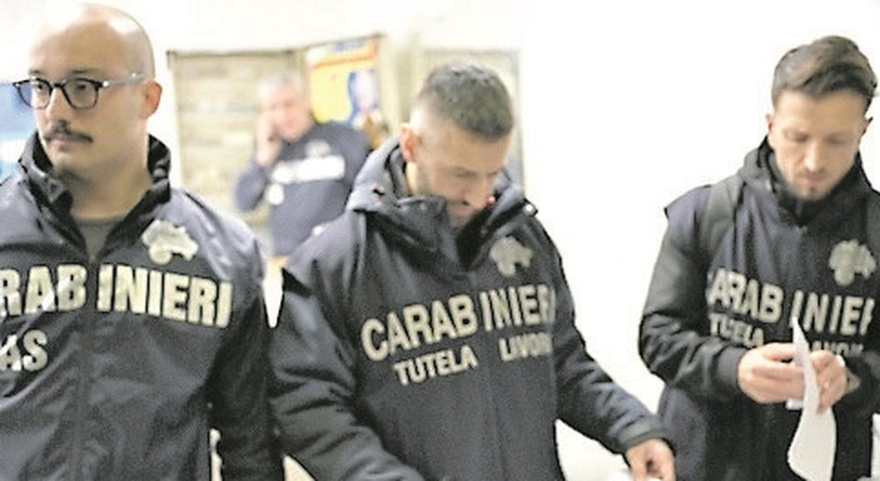 Fabriano, locali sporchi e un lavoratore in nero: pizzeria chiusa, multa da 25mila euro Fabriano, locali sporchi e un lavoratore in nero: pizzeria chiusa, multa da 25mila euro