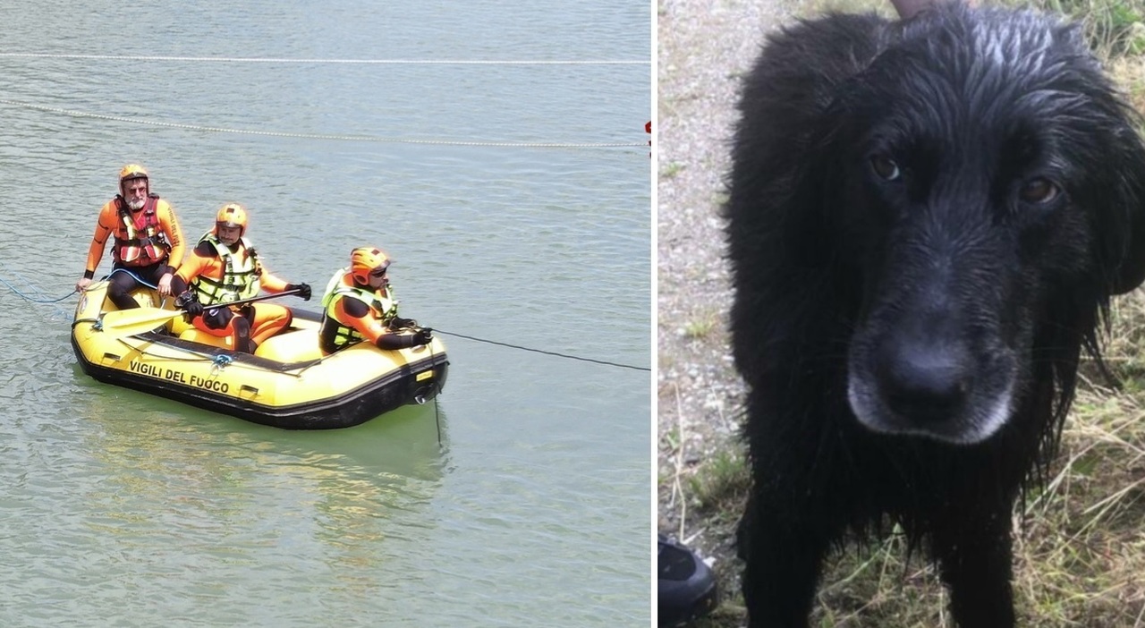 Si tuffa nel torrente per salvare il cane, trovato senza vita il 63enne trascinato via dalla corrente del Cormor. Le 23 ore di ricerche e il drammatico epilogo Si tuffa nel torrente per salvare il cane, trovato senza vita il 63enne trascinato via dalla corrente del Cormor. Le 23 ore di ricerche e il drammatico epilogo