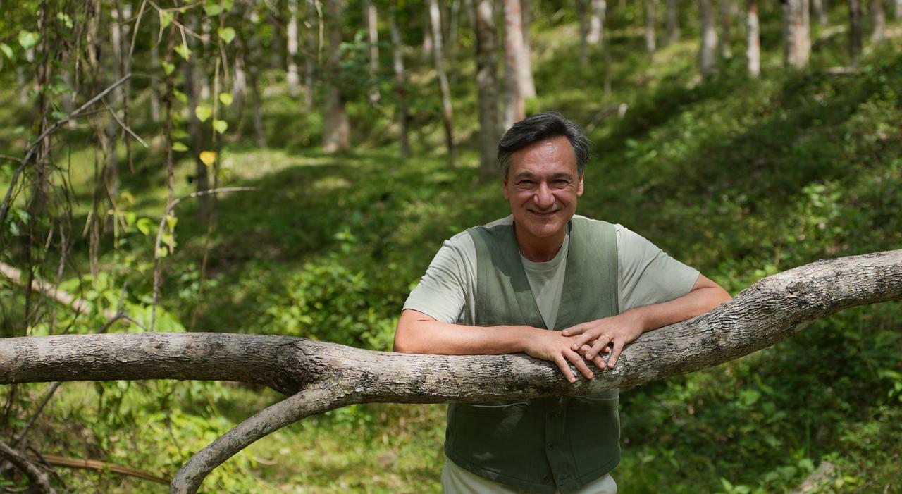 Money Road, Caressa porta la giungla in tv: «È la sfida tra individualismo e altruismo: eterna, oggi quanto mai attuale» Money Road, Caressa porta la giungla in tv: «È la sfida tra individualismo e altruismo: eterna, oggi quanto mai attuale»