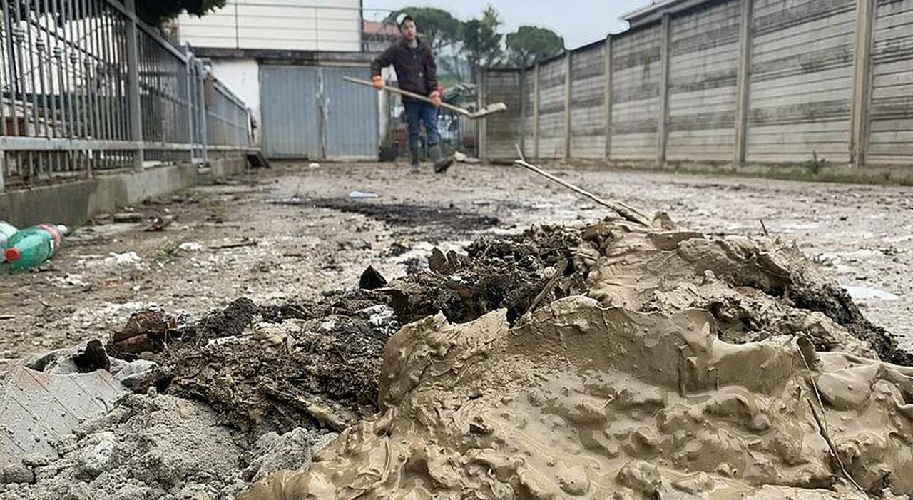 pesaro alluvionati allasciutto sono passati 2 anni ristori chi li ha visti quando telefoniamo al numero verde in regione non risponde nessuno da Corriereadriatico.it pesaro alluvionati allasciutto sono passati 2 anni ristori chi li ha visti quando telefoniamo al numero verde in regione non risponde nessuno