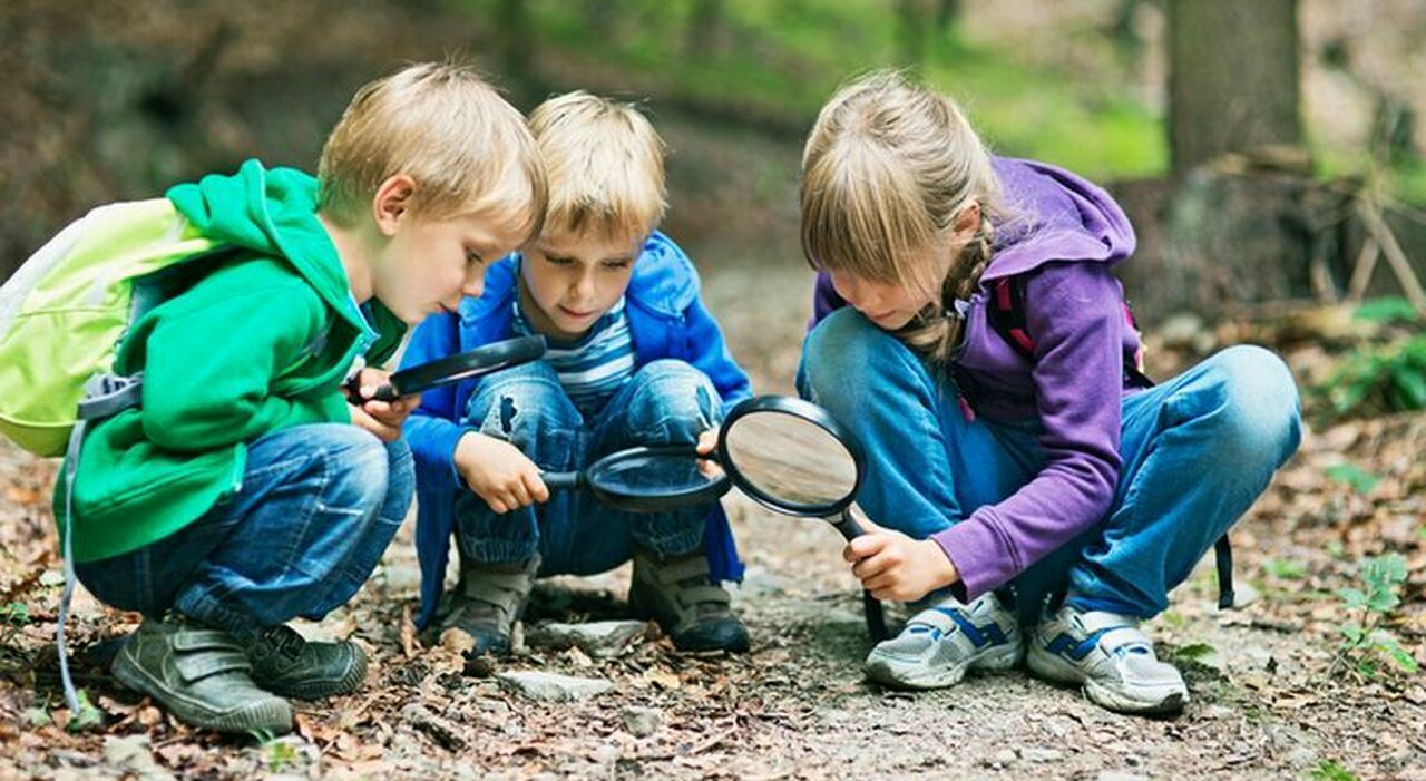 A Roma Nord, la caccia al campus più originale e costoso