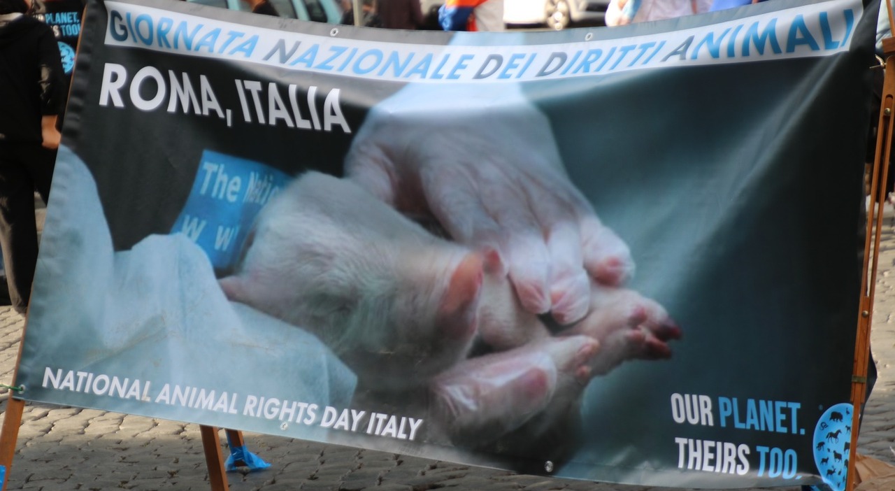 National Animal Rights Day 2025: un evento dedicato ai diritti animali da non perdere il 1 giugno a Villa Borghese