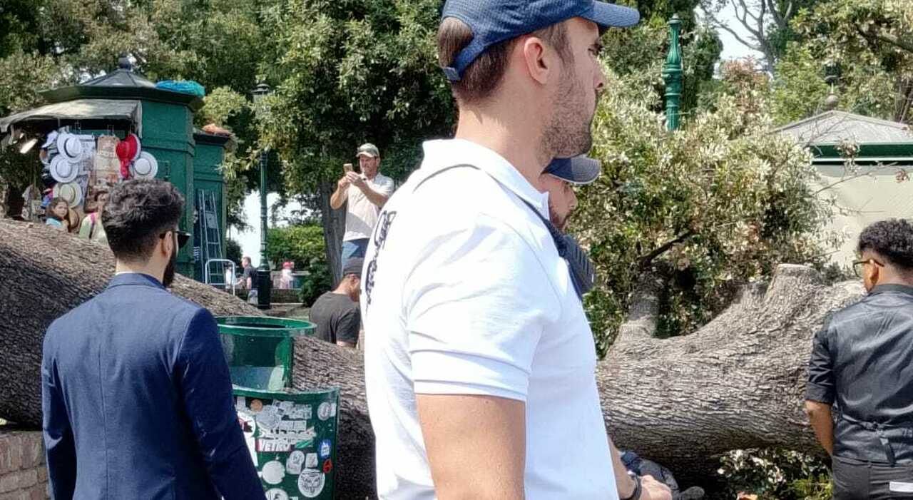 Albero crolla a Piazzale Roma sulla folla dei turisti in arrivo a Venezia, ferite 4 persone Albero crolla a Piazzale Roma sulla folla dei turisti in arrivo a Venezia, ferite 4 persone