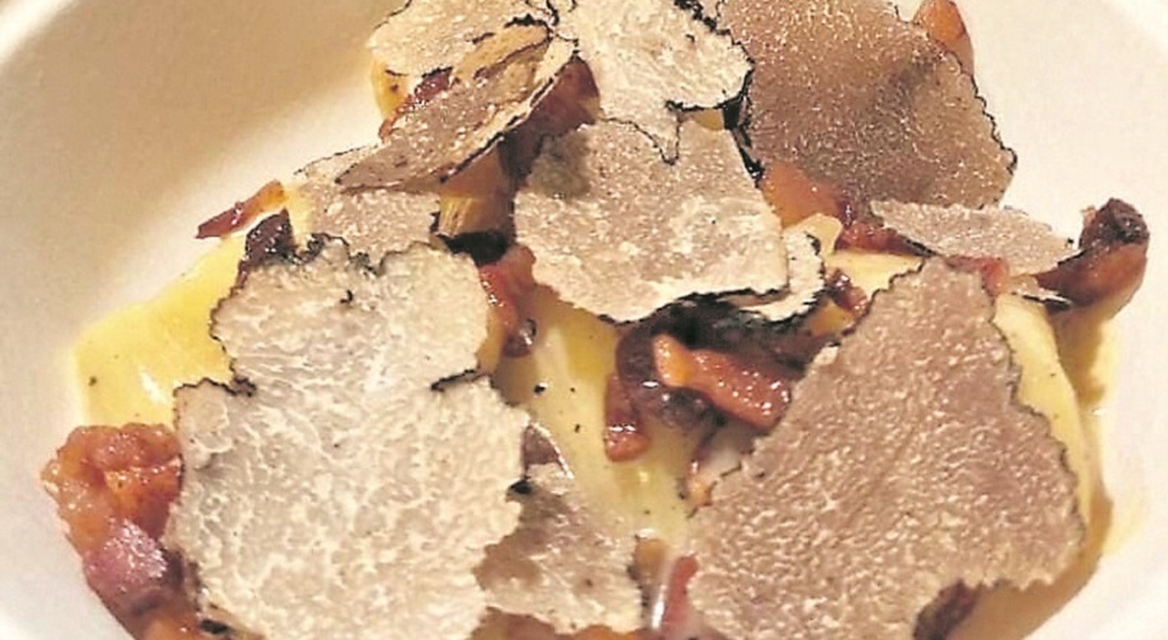 Puglia, terra di tartufo: «Presenti le 9 varianti. Risorsa per il turismo» Puglia, terra di tartufo: «Presenti le 9 varianti. Risorsa per il turismo»