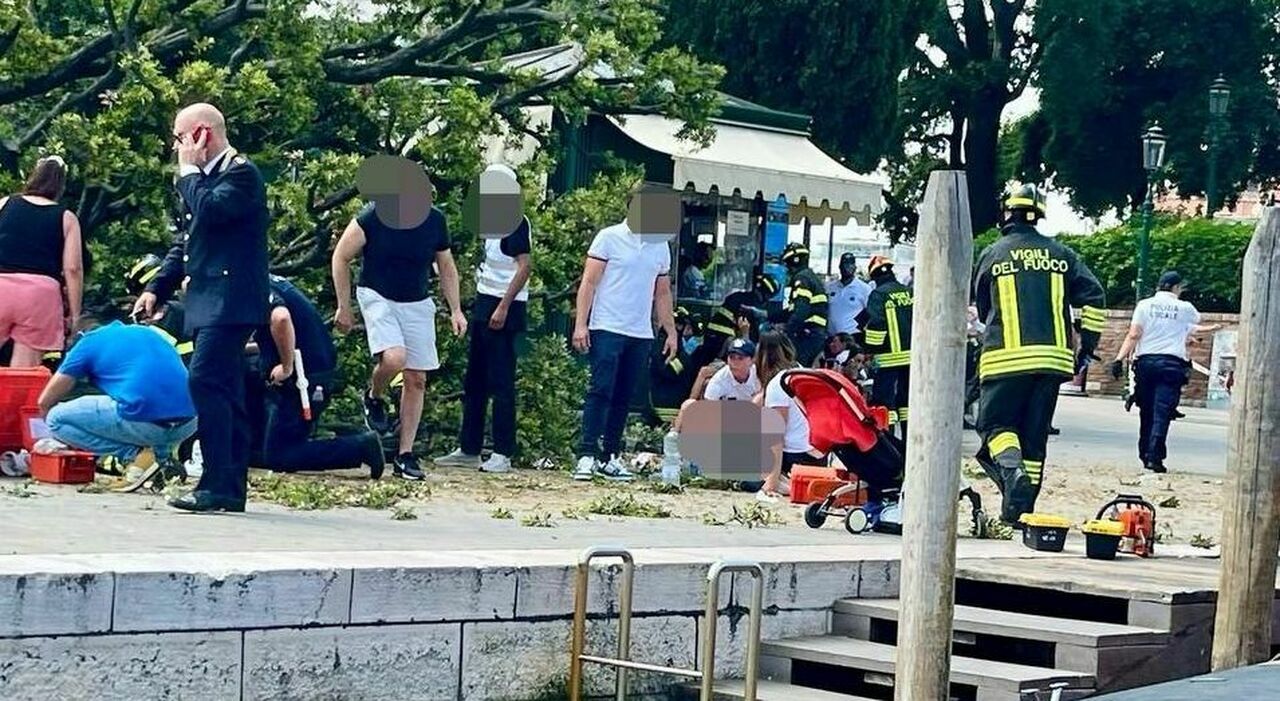 Albero crollato a Venezia, operata la mamma di 38 anni presa in pieno dal leccio. La figlia di 2 anni resta ricoverata in osservazione Albero crollato a Venezia, operata la mamma di 38 anni presa in pieno dal leccio. La figlia di 2 anni resta ricoverata in osservazione