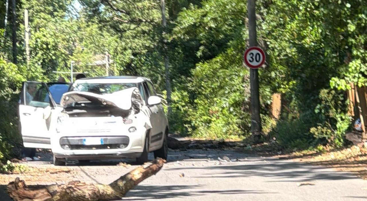 A Albano, un grosso ramo d’albero si abbatte su una Fiat 500: il conducente sconvolto, ma illeso in modo sorprendente