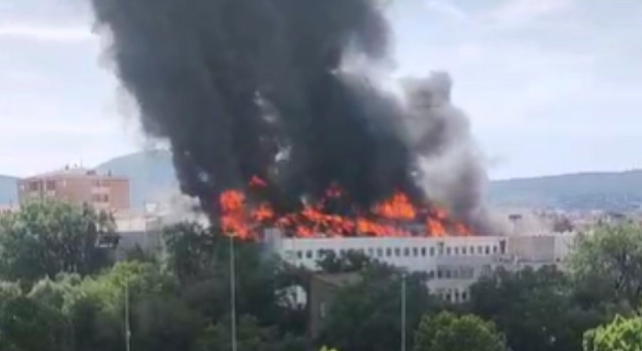 incendio all università di agraria della tuscia i lavori di ristrutturazione del tetto il fuoco nei laboratori di chimica e i 500 litri di etanolo cosa sappiamo