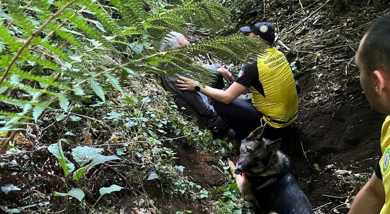 Elderly Man Found Safe After Extensive Search