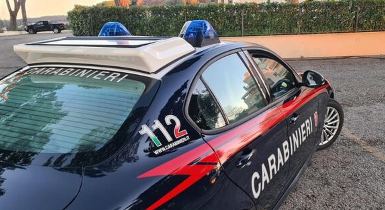 uccidono il padre e nascondono il cadavere in una cassapanca fermati due fratelli