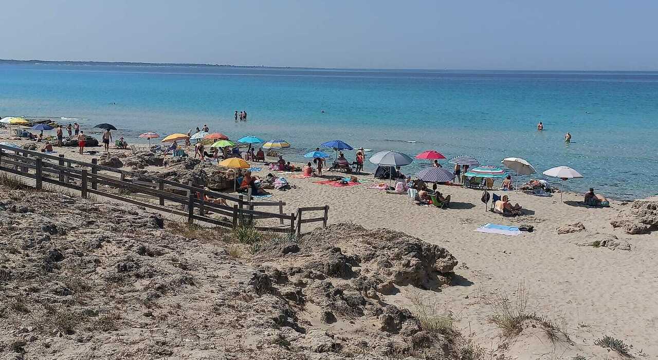 Arriva il caldo africano: fino a otto gradi in più in settimana. Ecco da quando Arriva il caldo africano: fino a otto gradi in più in settimana. Ecco da quando
