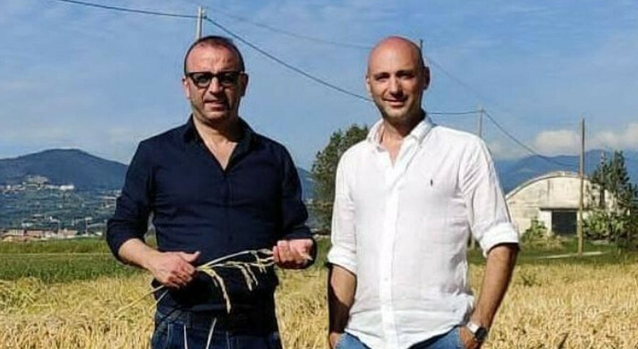 Un sogno tech e green: dopo duecento anni al Sud ritorna il riso Un sogno tech e green: dopo duecento anni al Sud ritorna il riso