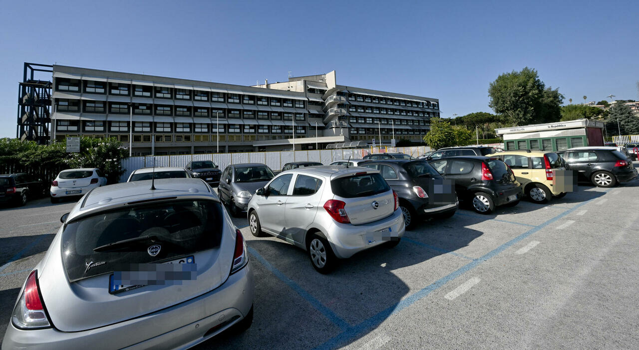Nicola Mirti ucciso a 18 anni con due coltellate in spiaggia: l?aggressore è stato individuato grazie alle telecamere Nicola Mirti ucciso a 18 anni con due coltellate in spiaggia: l?aggressore è stato individuato grazie alle telecamere