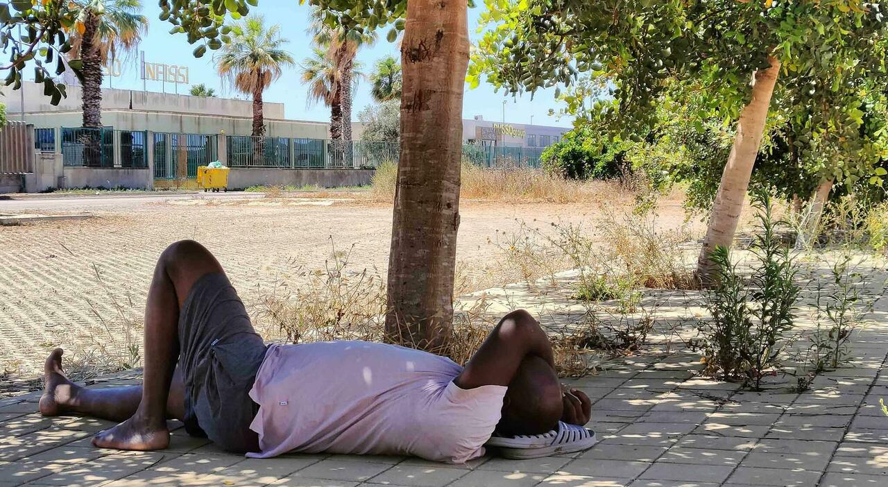 Boncuri, soldi finiti: nella bozza della Regione chiesti due euro al giorno ai braccianti Boncuri, soldi finiti: nella bozza della Regione chiesti due euro al giorno ai braccianti