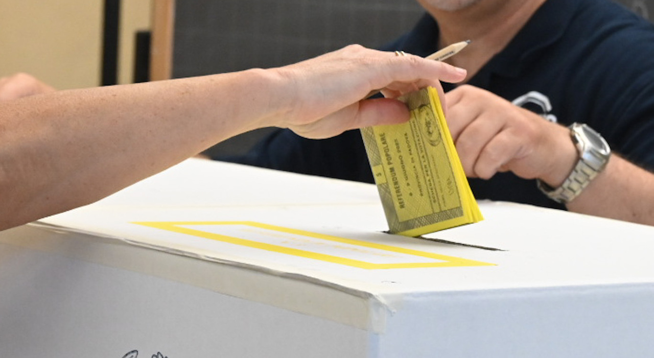 Referendum, in Veneto e Friuli affluenza sotto la media. Sulla cittadinanza a Rovigo il 44% dice no Referendum, in Veneto e Friuli affluenza sotto la media. Sulla cittadinanza a Rovigo il 44% dice no