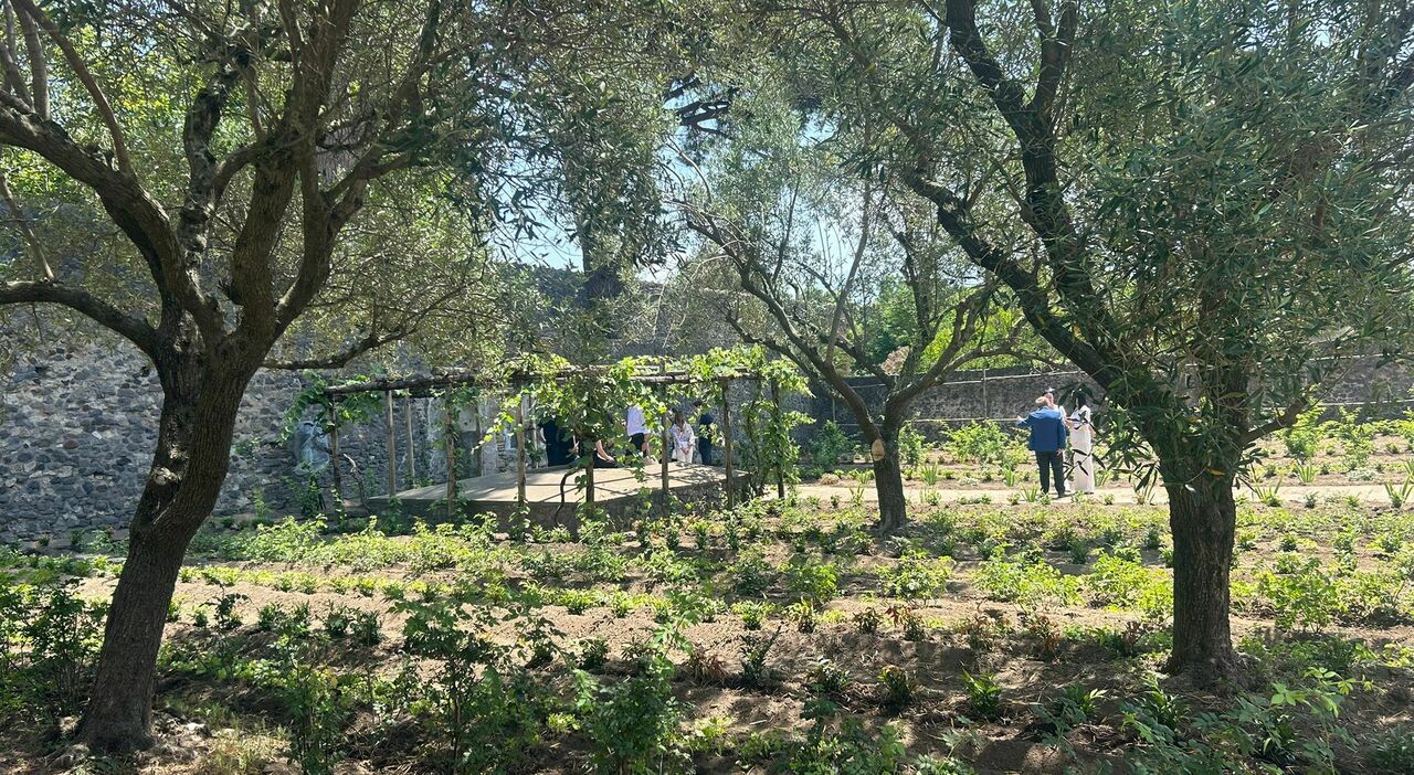 Scavi di ?Pompei, riaperta la casa con il giardino di Ercole Scavi di ?Pompei, riaperta la casa con il giardino di Ercole