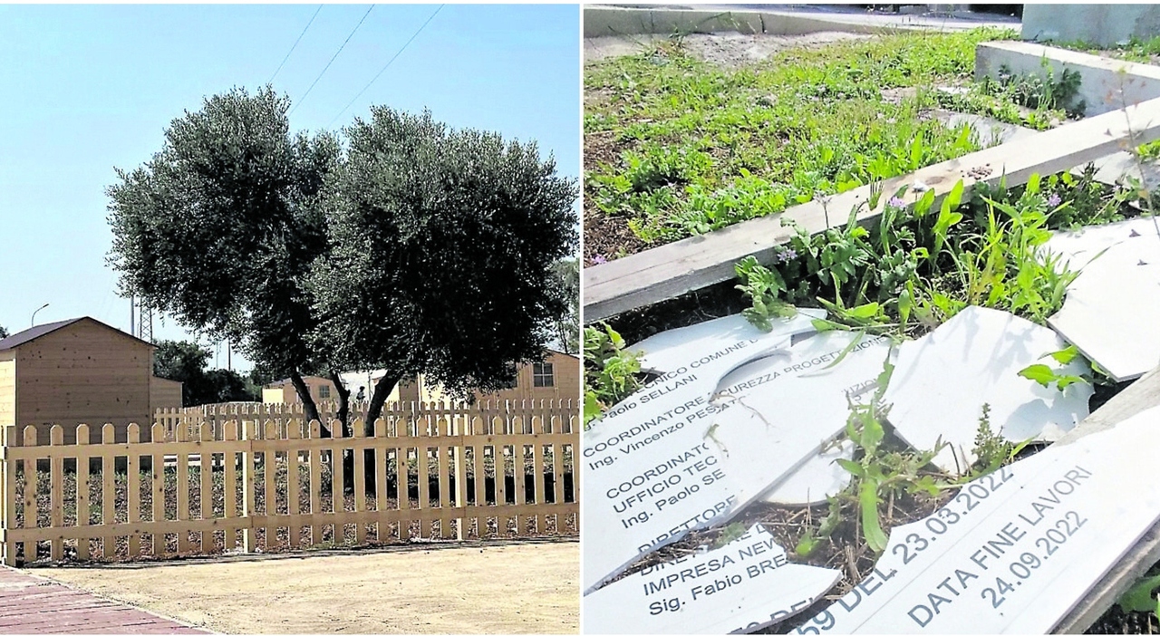 aree verdi bando di tutela si accelera pressing per il regolamento