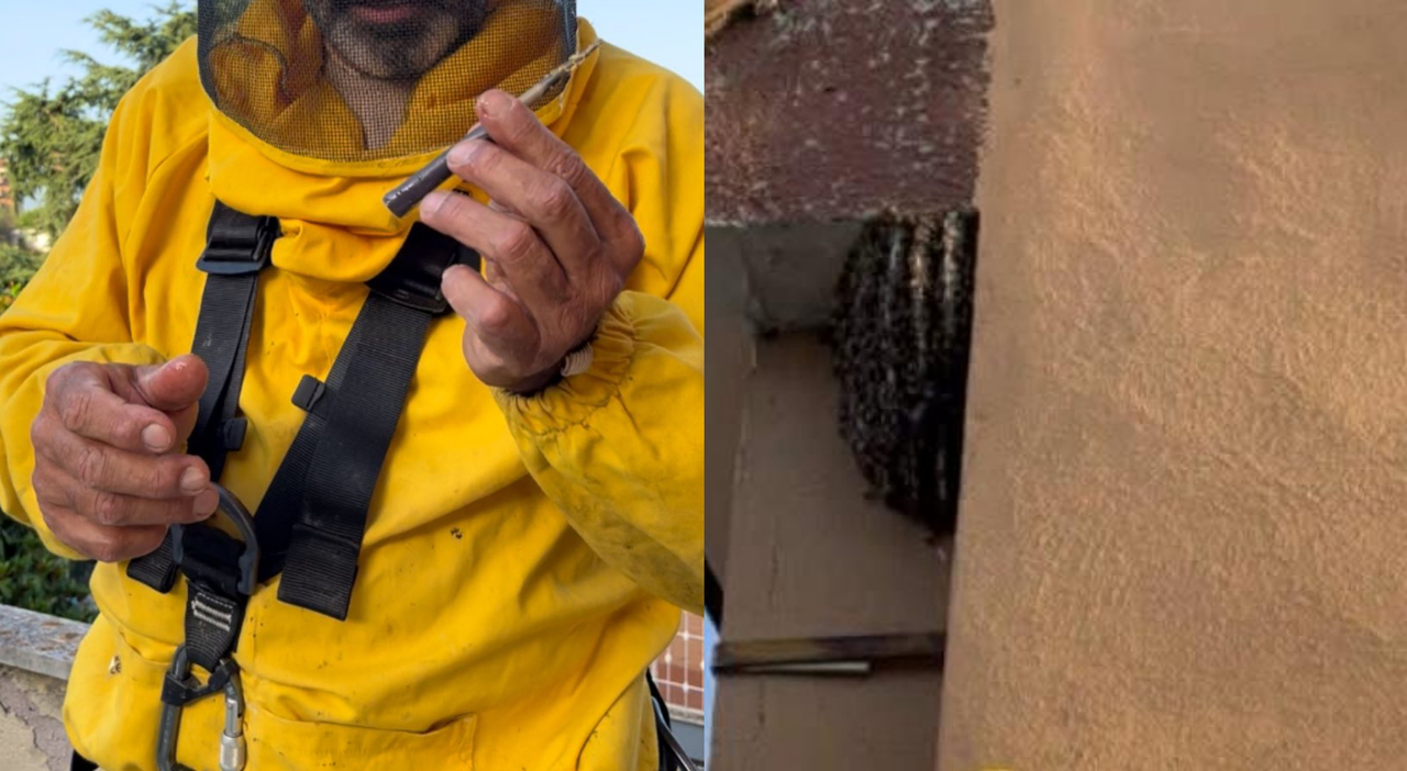 Uno sciame misterioso sul cornicione di un palazzo romano