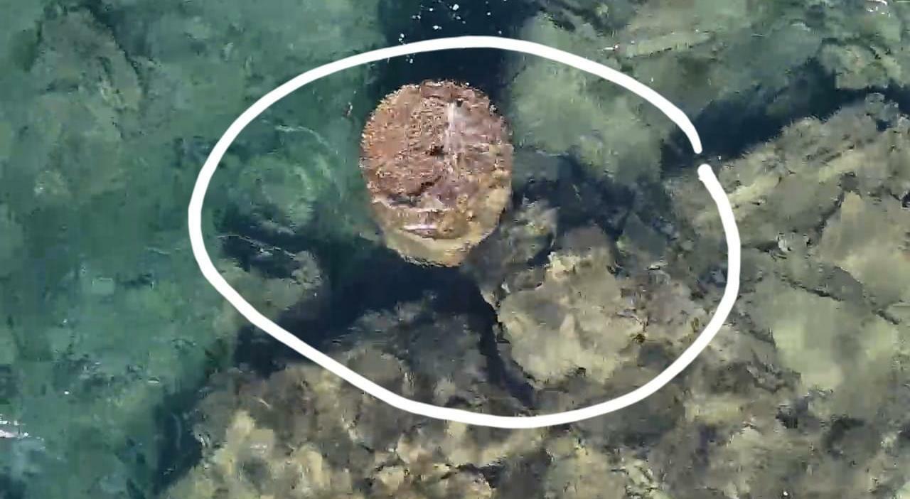 Effetto del bradisismo, resti del tempio di Ninfe affiorano lungo la costa Effetto del bradisismo, resti del tempio di Ninfe affiorano lungo la costa