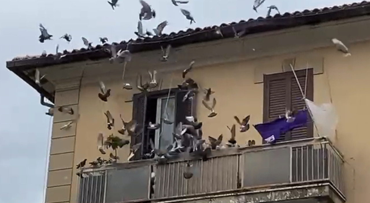 Un condomino sotto accusa: i timori per la salute emergono Un condomino sotto accusa: i timori per la salute emergono