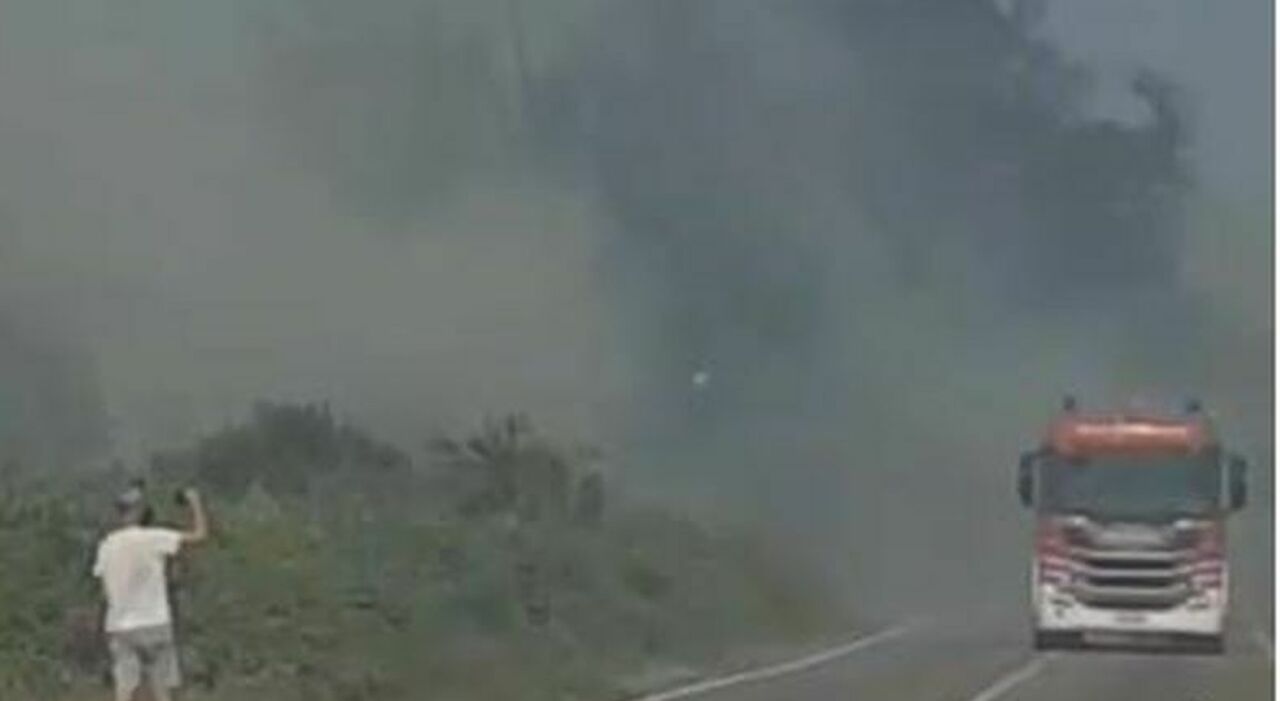 torre chianca torna a bruciare nuovo incendio nella marina leccese