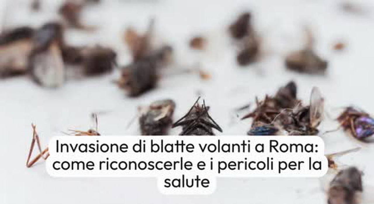 https://statics.cedscdn.it/photos/MED_HIGH/2025/06/16/8901408_poster.jpg